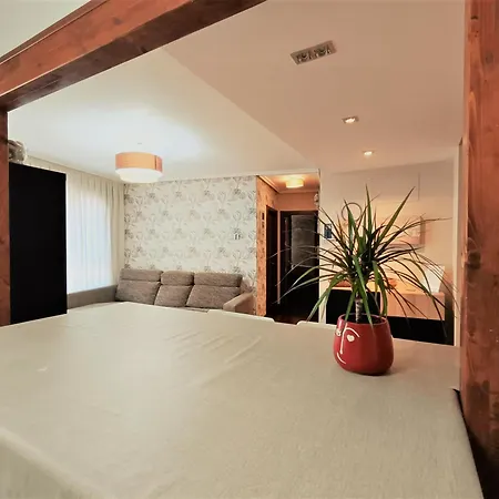 Apartamento Bec, Hospital Cruces, Parking Gratis, Wifi, Aa, A 15 Min De Bilbao Baracaldo