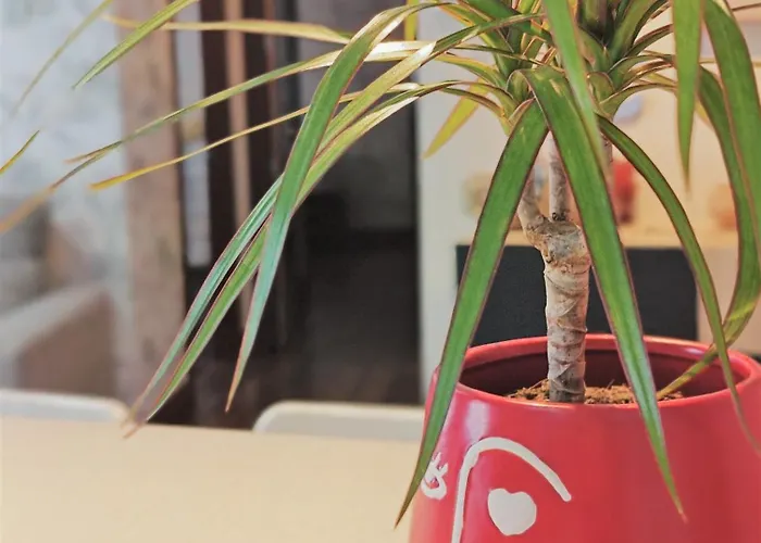 Bec, Hospital Cruces, Parking Gratis, Wifi, Aa, A 15 Min De Bilbao *